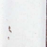 Magnolia Manor Server - QK1033292_LIBF_SW1_SW