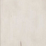 Morgan Creek Entertainment Wall - QK1034555_LIBF_SW1_SW