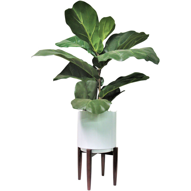 Fig 40 Inch Greenery - QK1053545_LCGS_PRI_OL