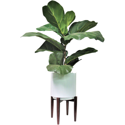 Fig 40 Inch Greenery