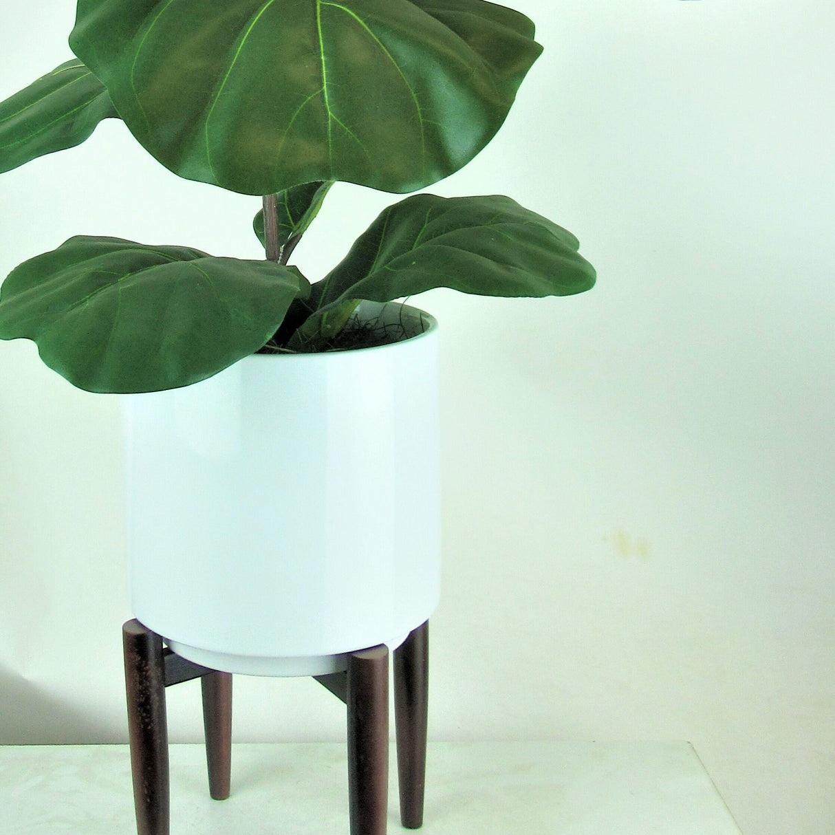 Fig 40 Inch Greenery - QK1053545_LCGS_SW1_SW