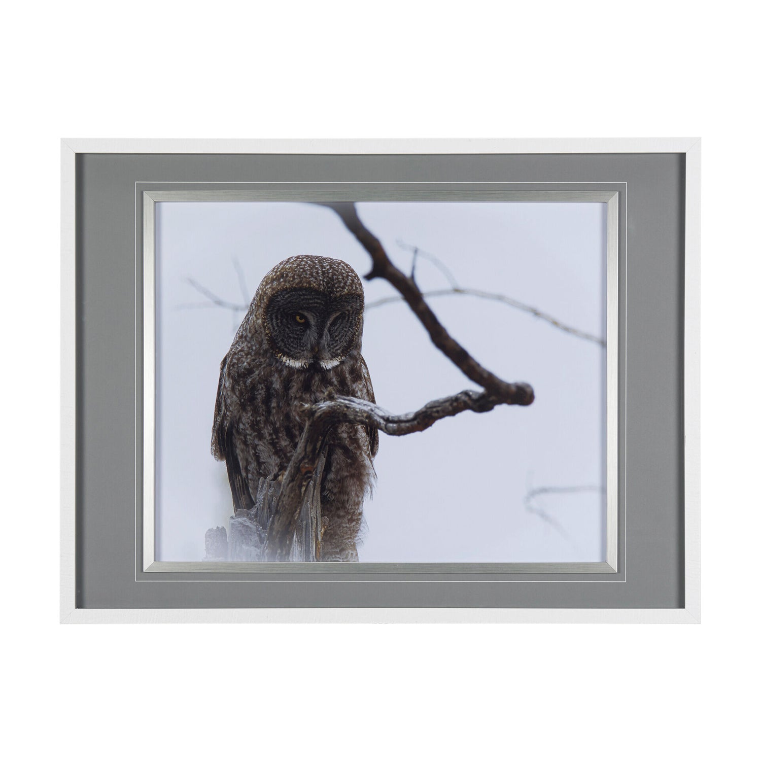 Owl Wall Art - QK1060985_MEFD_PRI_OL