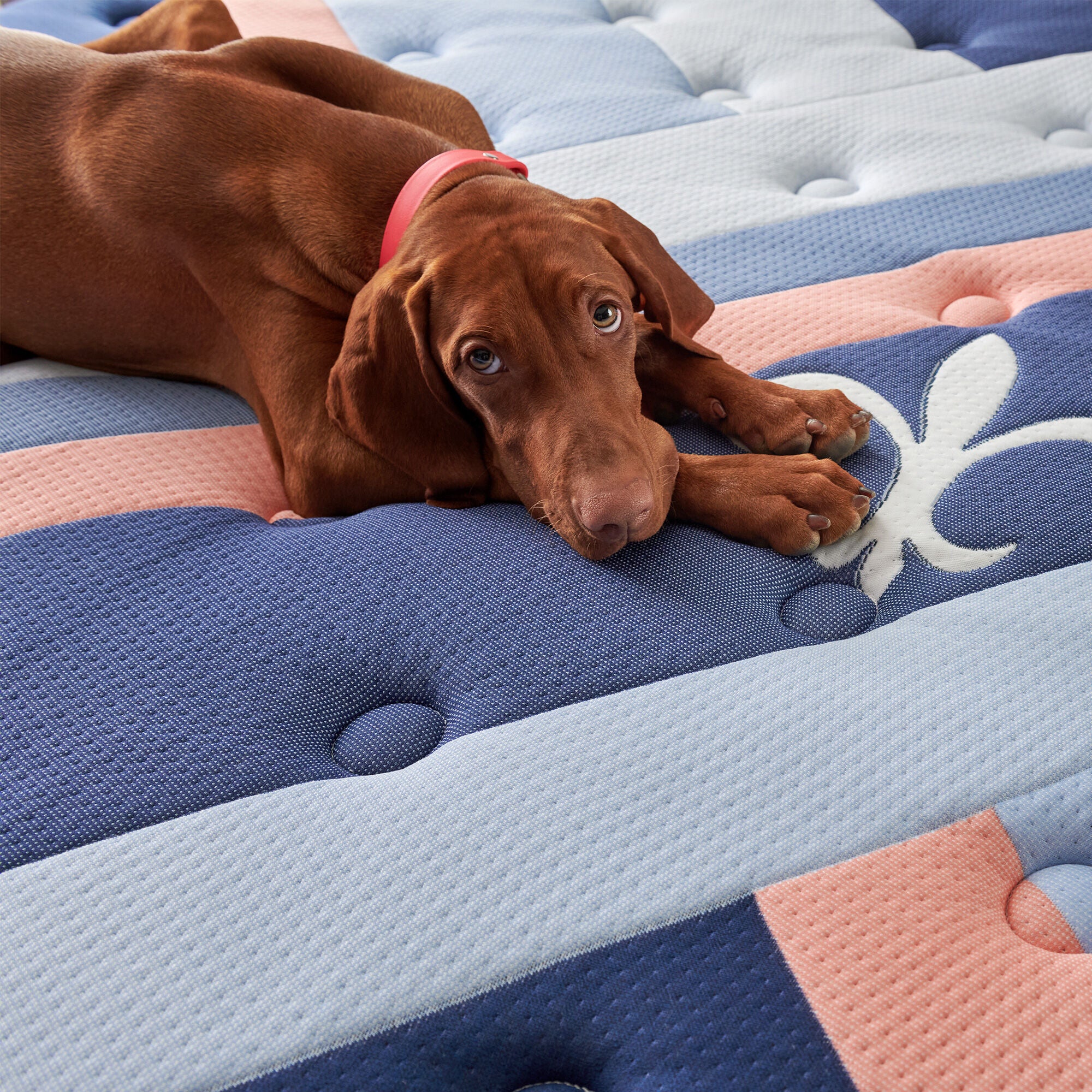 Mattresses & Bedding – Slumberland