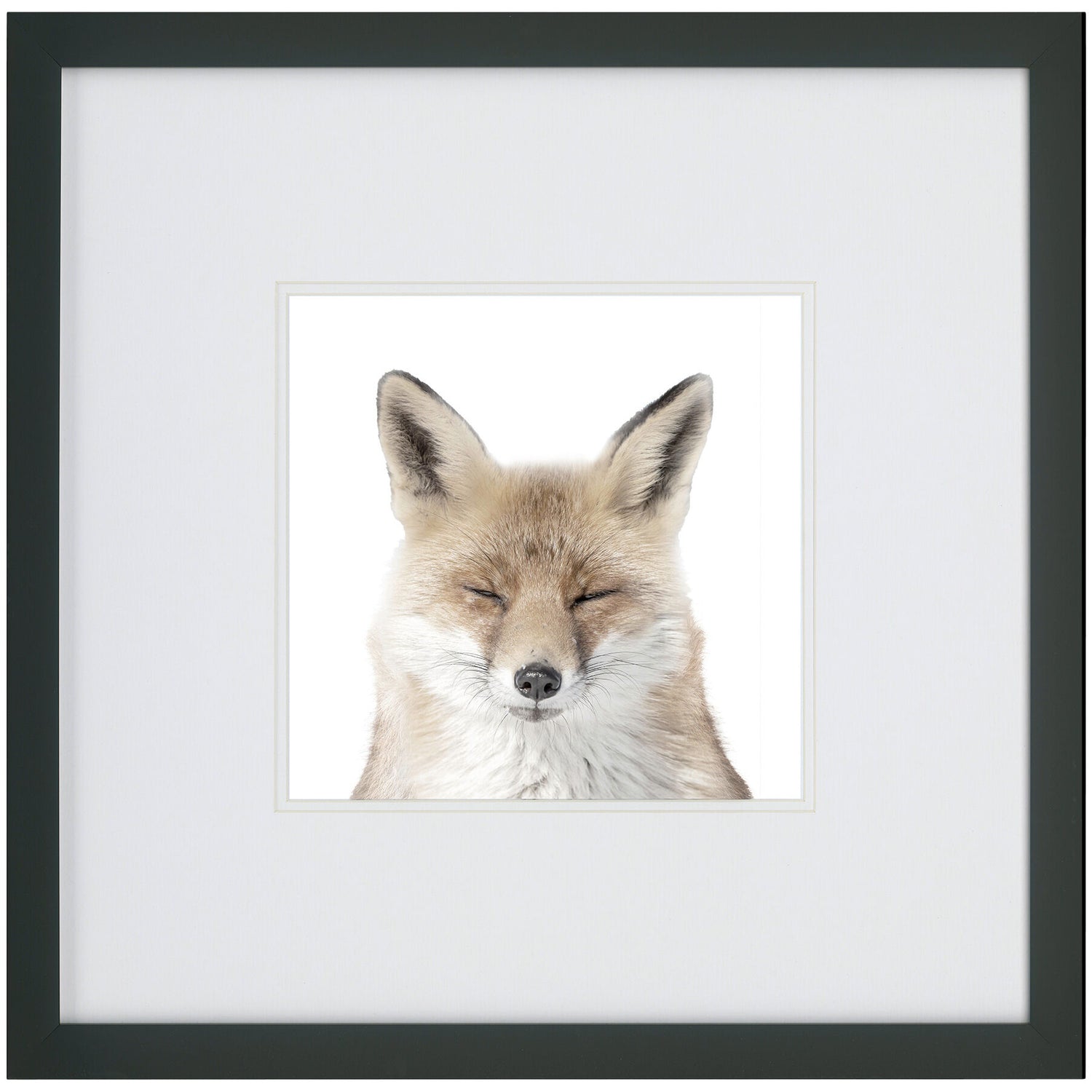 Kids Fox Face Wall Art - QK1062318_NORH_PRI_OL