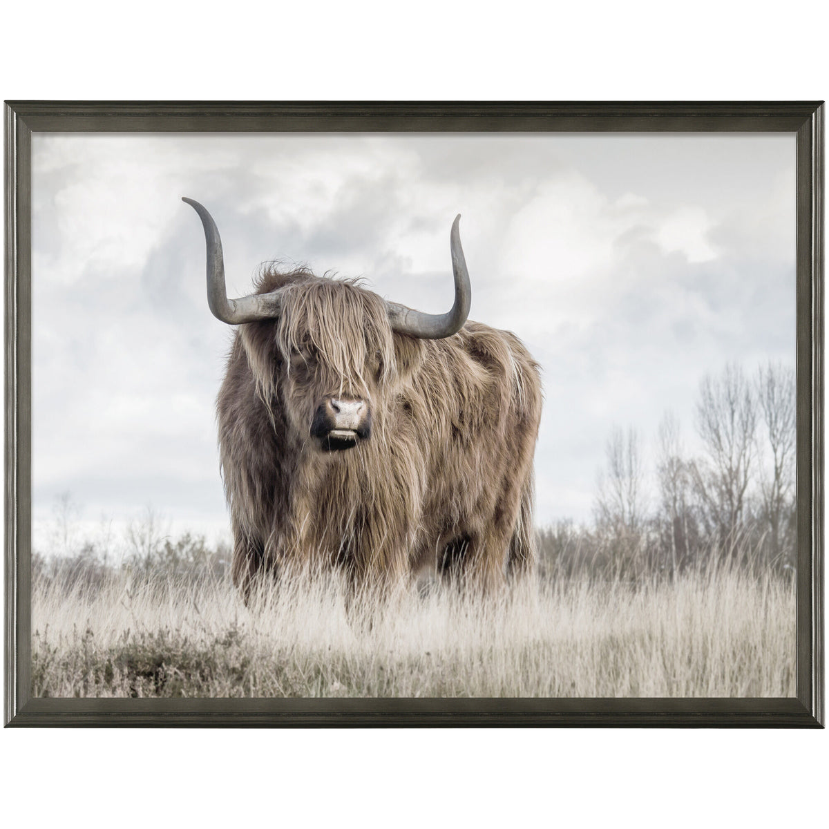 Raging Wall Art – Slumberland