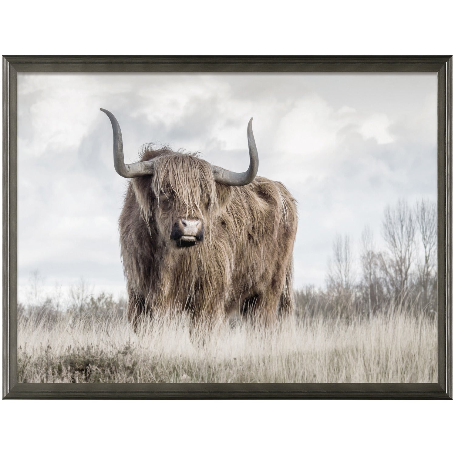 Raging Wall Art - QK1062803_NORH_PRI_OL