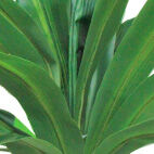 Dracaena Plant In Cement Pot - QK1062994_LCGS_SW1_SW