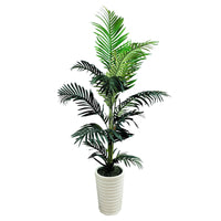 Palm Tree 5 Foot Pot - QK1063000_LCGS_PRI_OL