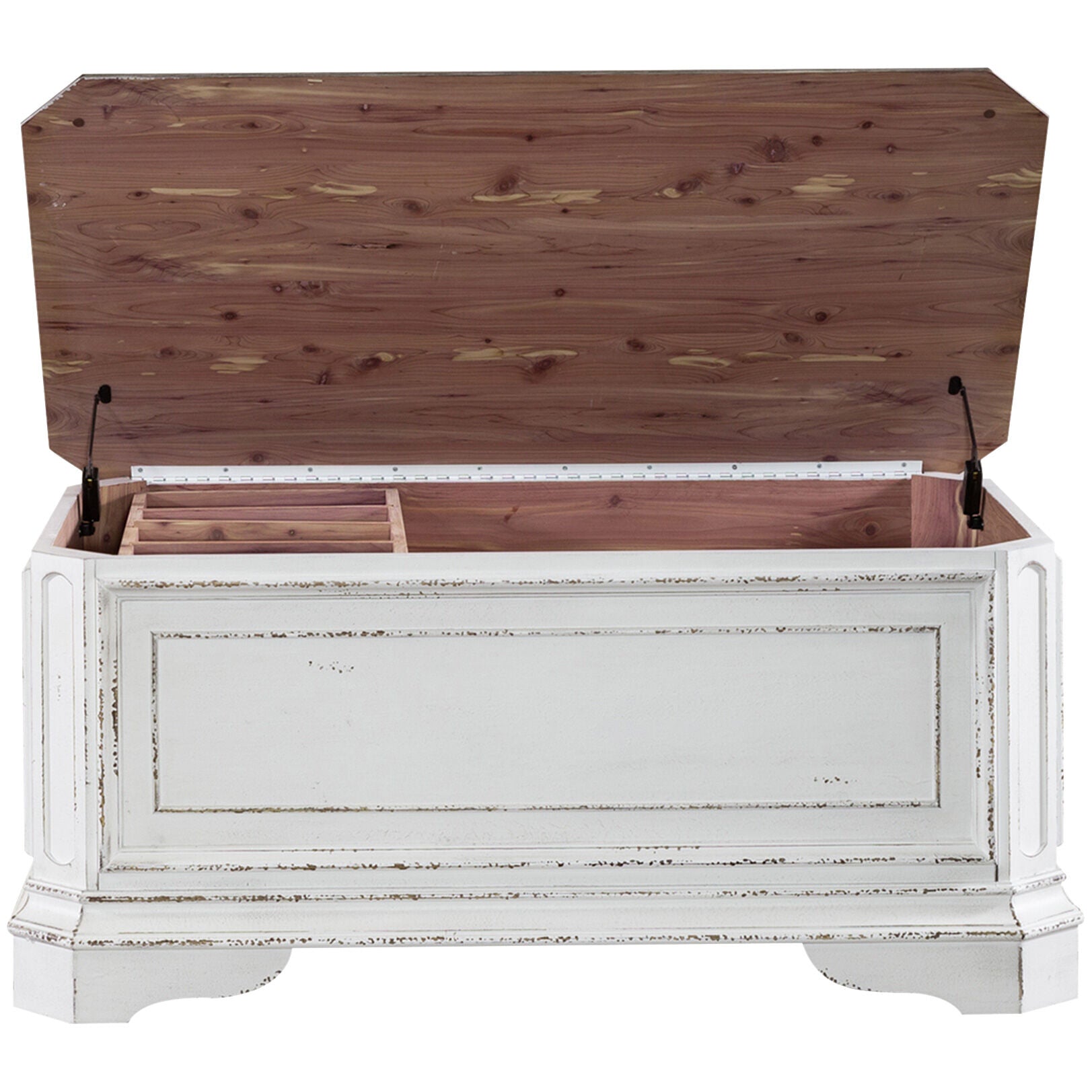 Magnolia Manor Storage Trunk
