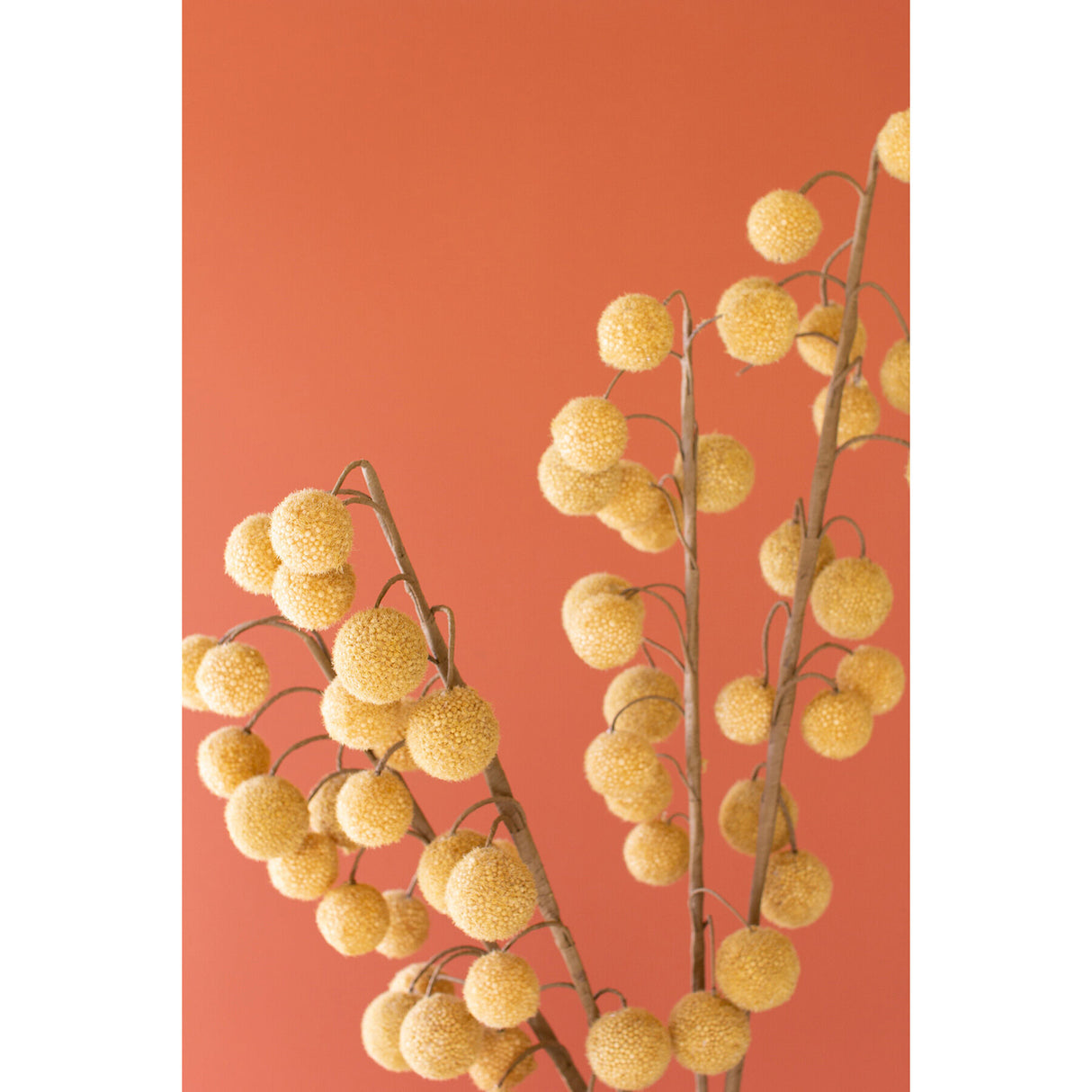 Botanical Stem Greenery - QK1066710_KALA_LF1_RM
