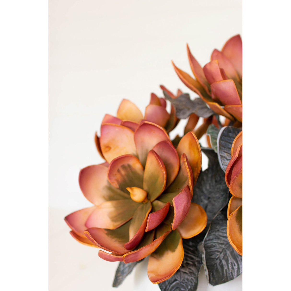 Botanical Rosette Greenery - QK1066713_KALA_LF1_RM