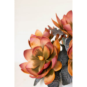 Botanical Rosette Greenery - QK1066713_KALA_LF1_RM