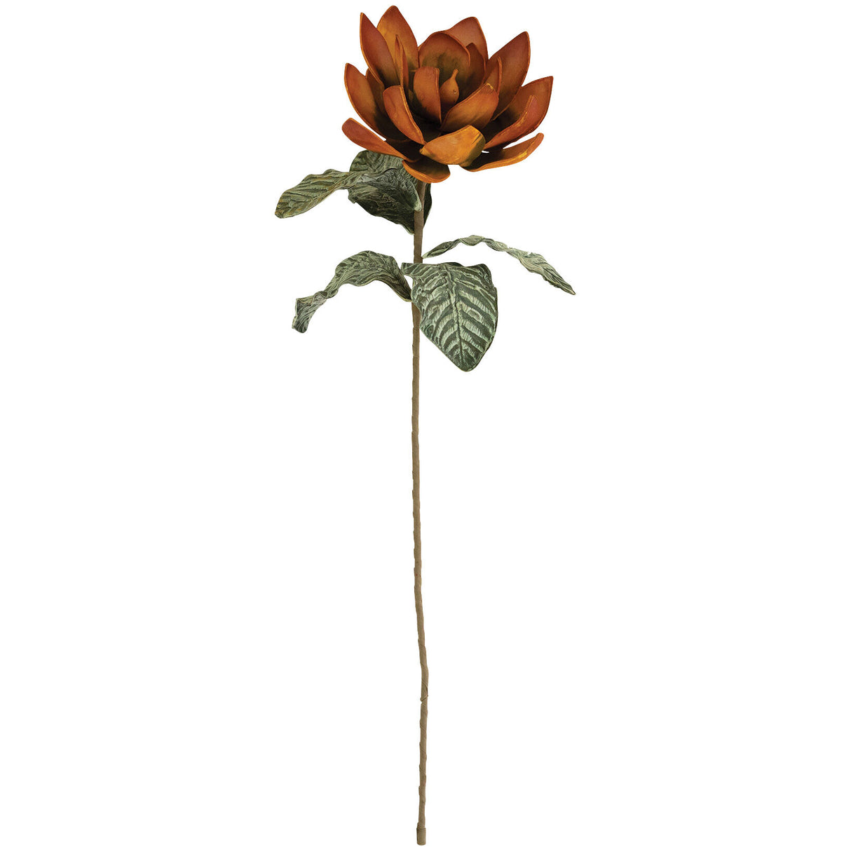 Botanical Rosette Greenery - QK1066713_KALA_PRI_OL