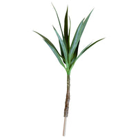 Botanical Heneken Stem Greenery - QK1066722_KALA_PRI_OL