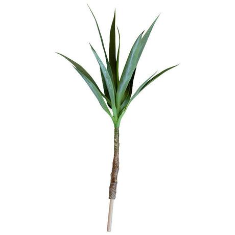 Botanical Heneken Stem Greenery - QK1066722_KALA_PRI_OL