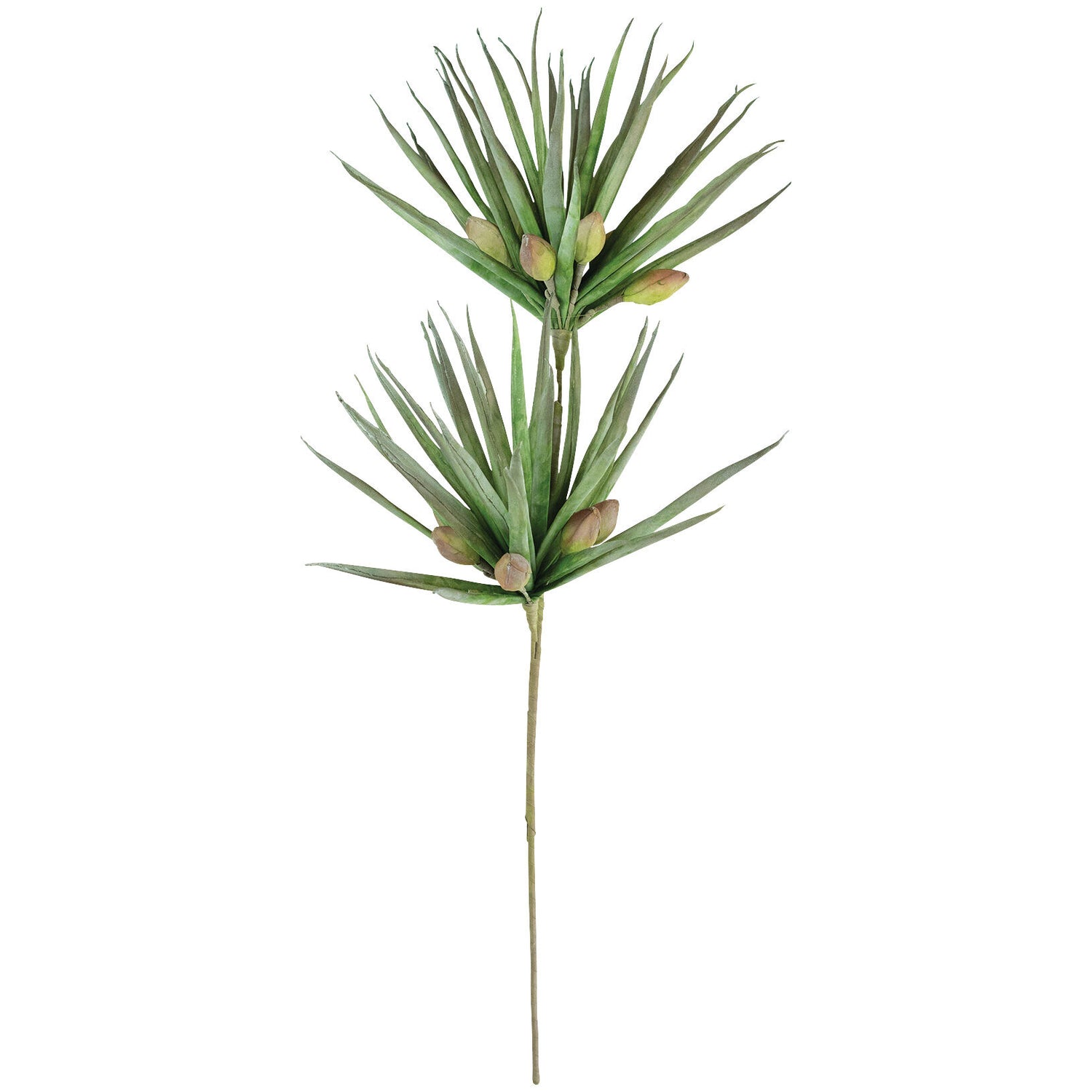 Botanical Palm Fronds Greenery - QK1066724_KALA_PRI_OL