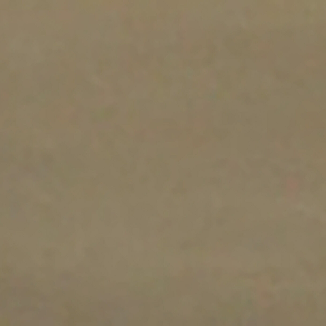 Modern Farmhouse Cheval Mirror - QK989637_STYL_SW1_SW