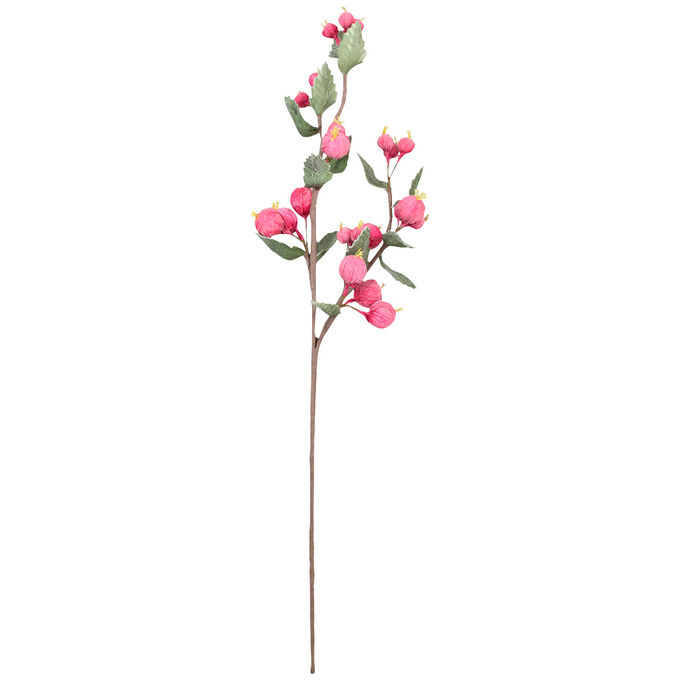 Kalalou , Botanical Pink Pop Greenery