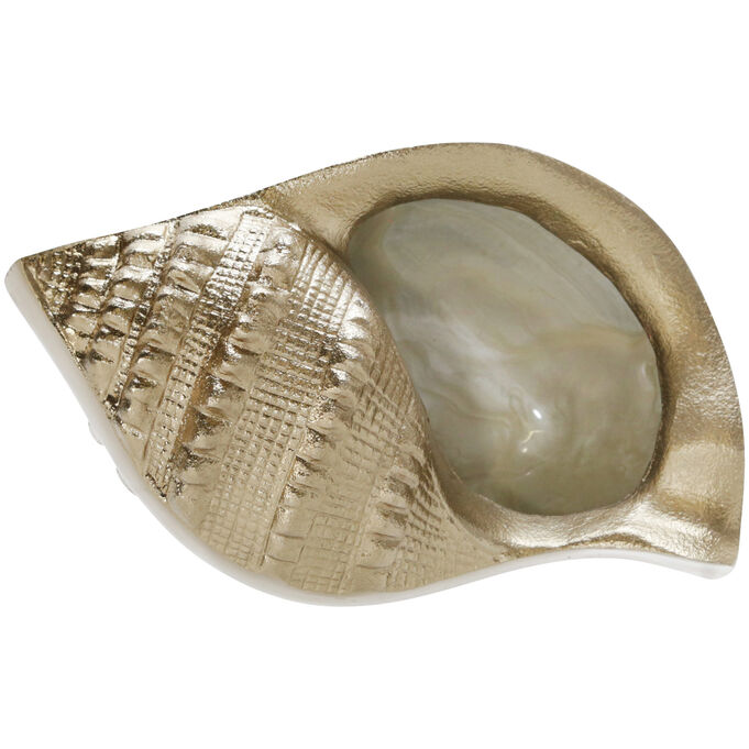 Elevated Chic Champagne Sea Shell