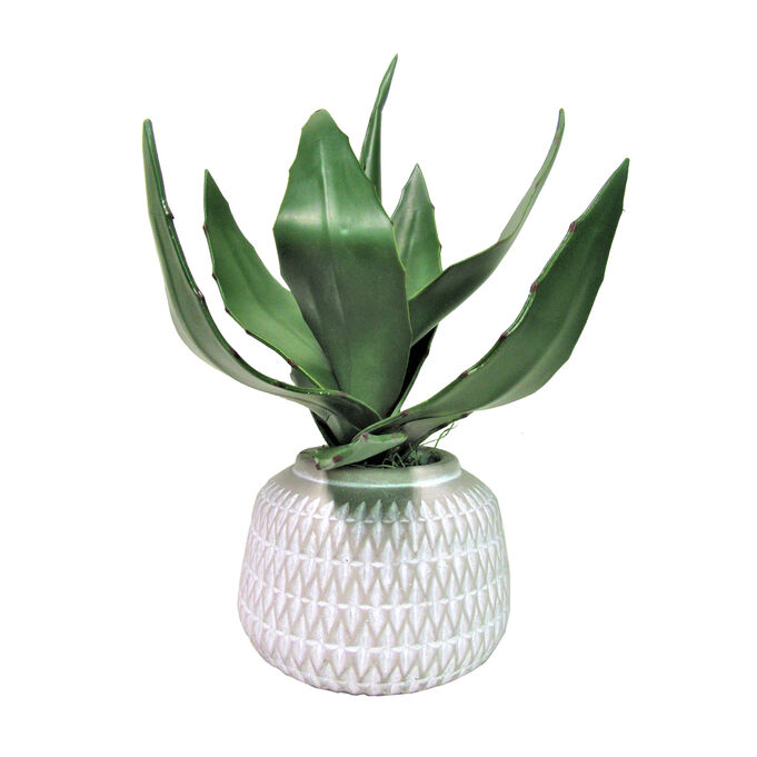Agave 12 Inch Deco Cement Pot