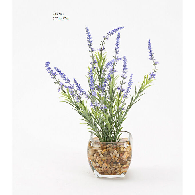 D&w Silks , Permanent Botanicals Lavender In Glass Cube , Purple