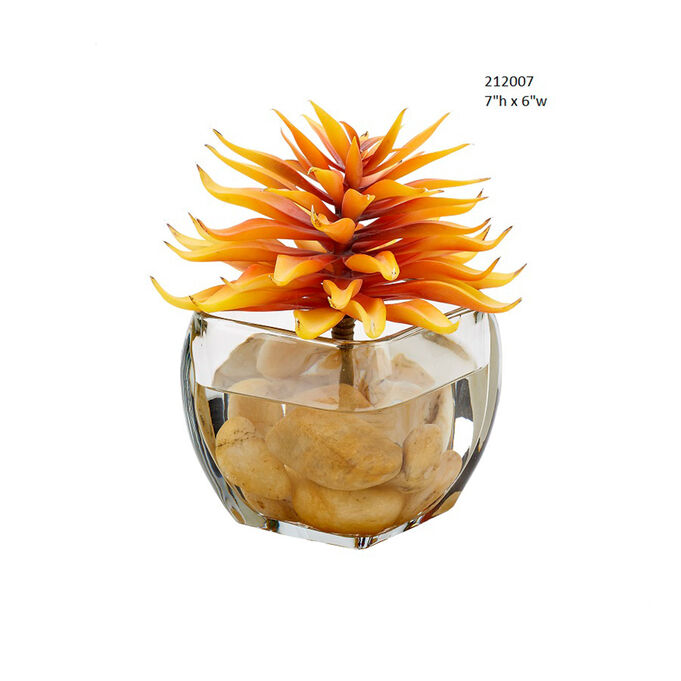 D&w Silks , Permanent Botanicals Orange Stem In Glass Cube
