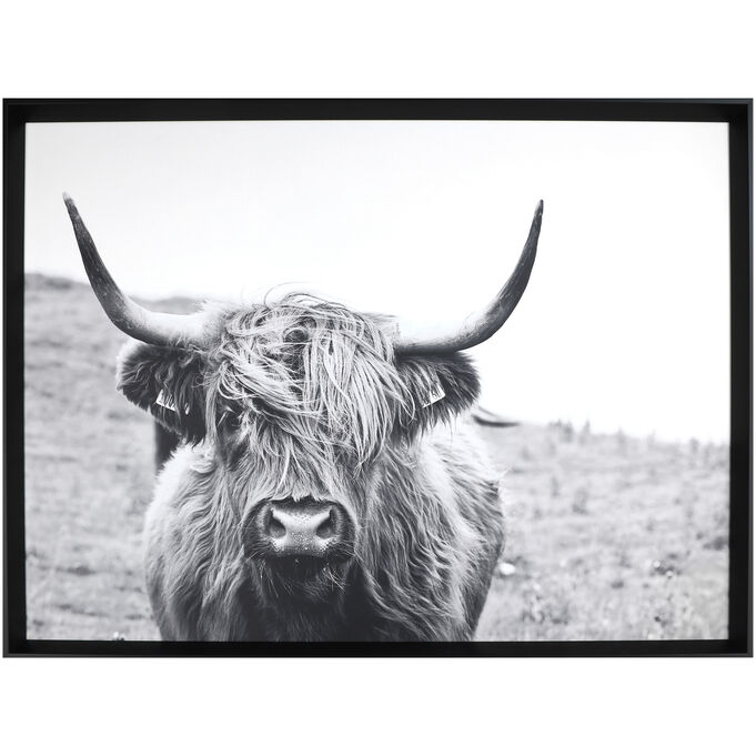 Norhwoods | Staring Gaze Bull Wall Art | Black